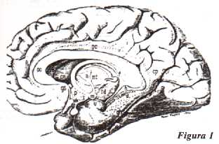 f01.jpg (12697 bytes)