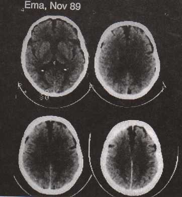 f02.jpg (16073 bytes)
