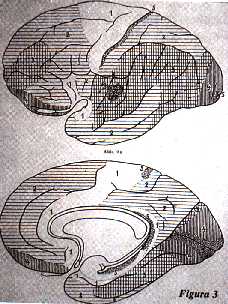f03.jpg (19028 bytes)
