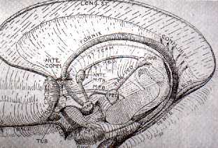 f06.jpg (17338 bytes)