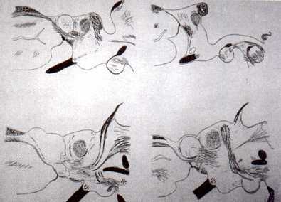 f07.jpg (15201 bytes)