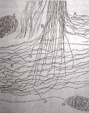 f08.jpg (26376 bytes)