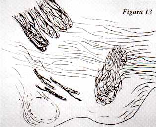 f13.jpg (16831 bytes)