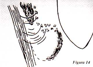 f14.jpg (11288 bytes)