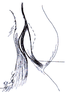 wpe28.gif (7699 bytes)