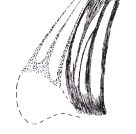 wpe2D.gif (9813 bytes)