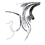 wpe2E.gif (4425 bytes)