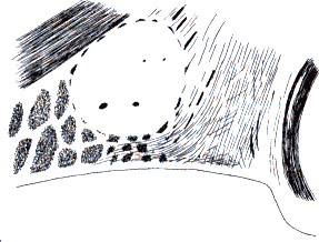 wpe32.gif (11168 bytes)