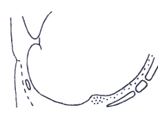 wpe1D.gif (3031 bytes)