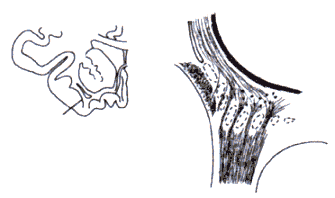 wpe23.gif (7464 bytes)