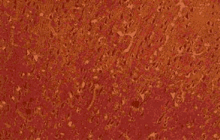 wpe5A.gif (56645 bytes)